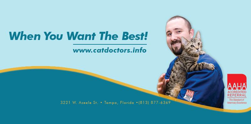 Cat Doctor Tampa FL 33609 8138776369 Cat Boarding
